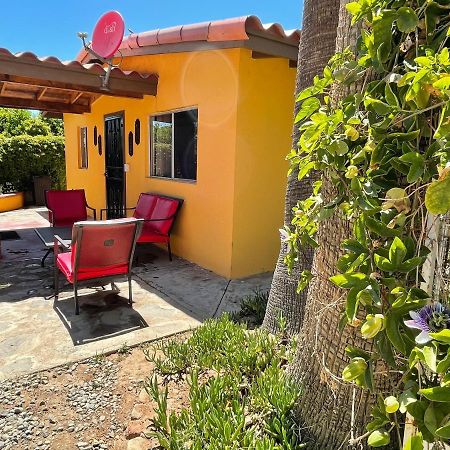 نزل فالي دي جوادالوبيفي Rancho El Campanario En La Ruta Del Vino المظهر الخارجي الصورة