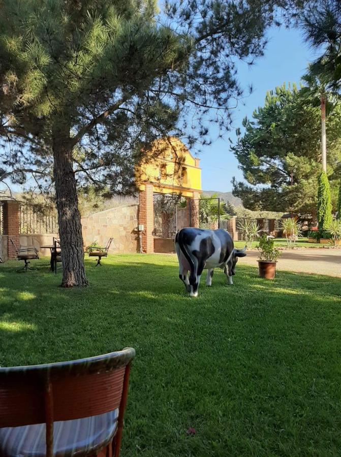 نزل فالي دي جوادالوبيفي Rancho El Campanario En La Ruta Del Vino المظهر الخارجي الصورة