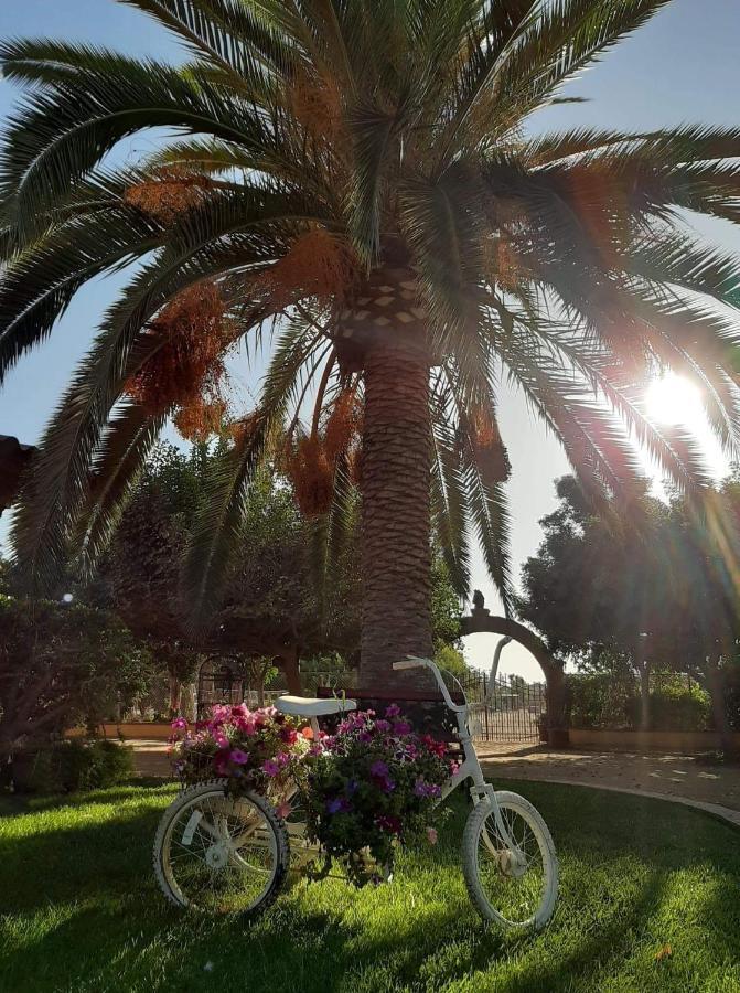 نزل فالي دي جوادالوبيفي Rancho El Campanario En La Ruta Del Vino المظهر الخارجي الصورة