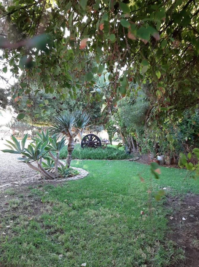 نزل فالي دي جوادالوبيفي Rancho El Campanario En La Ruta Del Vino المظهر الخارجي الصورة