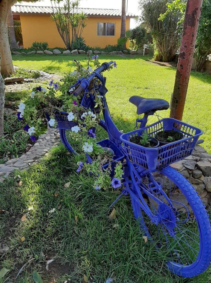 نزل فالي دي جوادالوبيفي Rancho El Campanario En La Ruta Del Vino المظهر الخارجي الصورة
