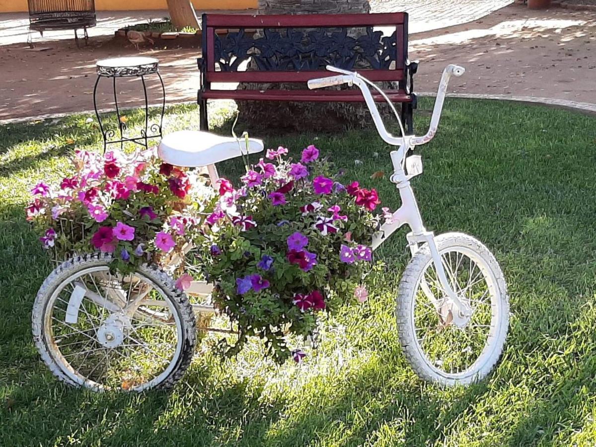 نزل فالي دي جوادالوبيفي Rancho El Campanario En La Ruta Del Vino المظهر الخارجي الصورة