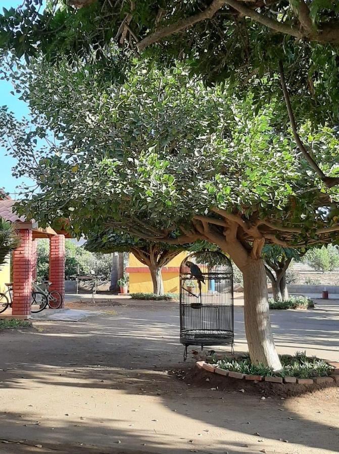 نزل فالي دي جوادالوبيفي Rancho El Campanario En La Ruta Del Vino المظهر الخارجي الصورة