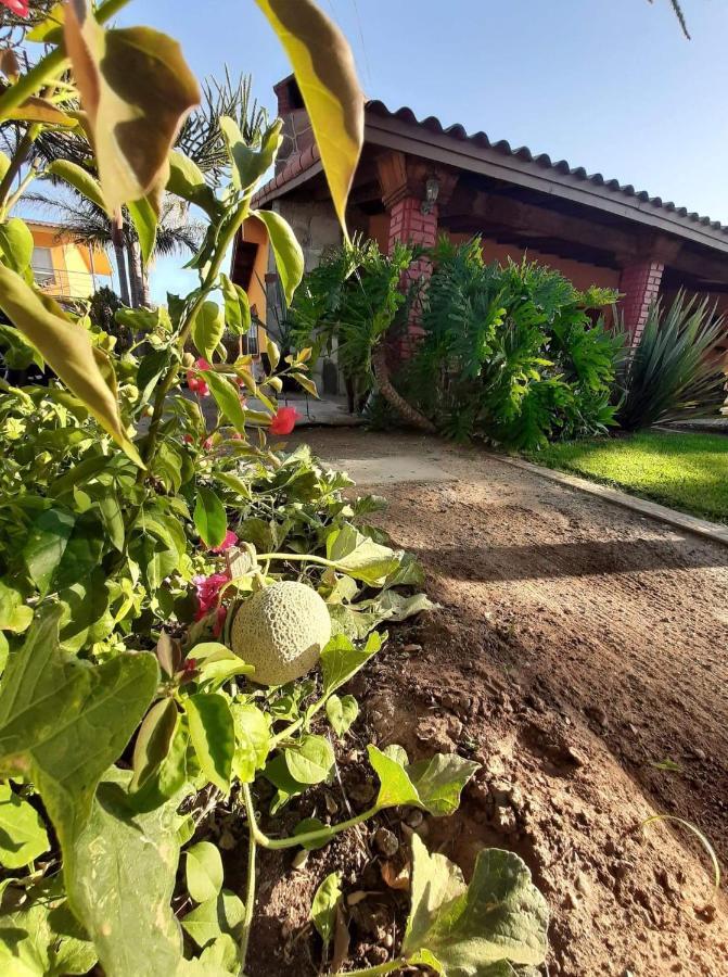 نزل فالي دي جوادالوبيفي Rancho El Campanario En La Ruta Del Vino المظهر الخارجي الصورة