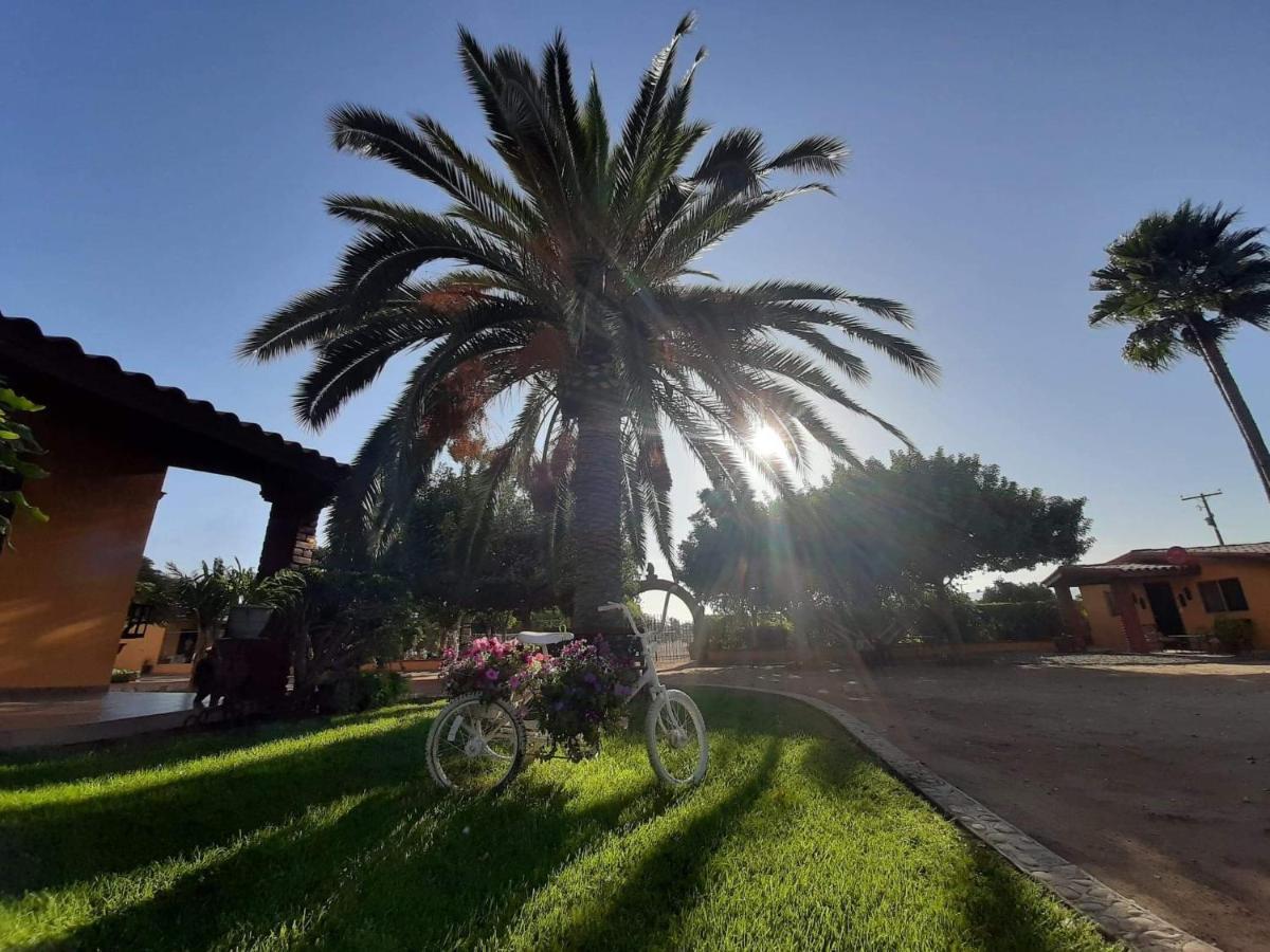 نزل فالي دي جوادالوبيفي Rancho El Campanario En La Ruta Del Vino المظهر الخارجي الصورة