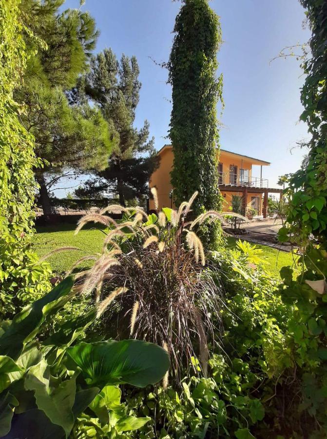 نزل فالي دي جوادالوبيفي Rancho El Campanario En La Ruta Del Vino المظهر الخارجي الصورة