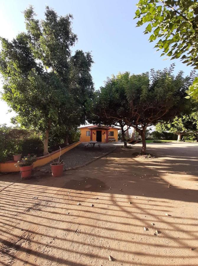 نزل فالي دي جوادالوبيفي Rancho El Campanario En La Ruta Del Vino المظهر الخارجي الصورة